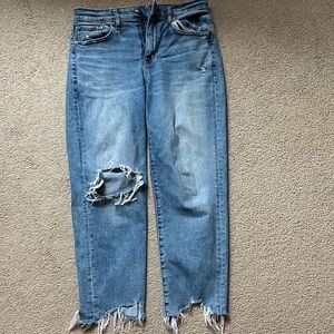American Eagle Outfitters Light Blue Distressed Cropped Jeans
